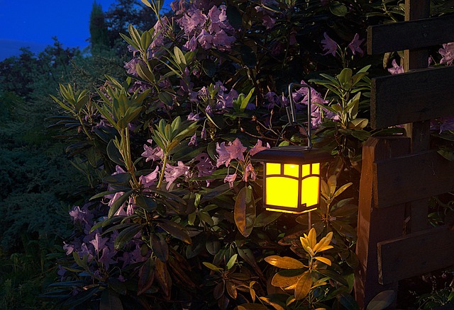 outdoor light lamp in the garden
